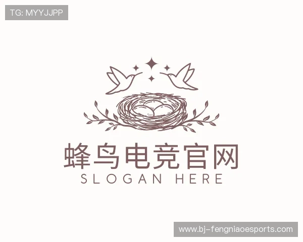 发现蜂鸟电竞
